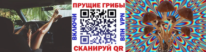 даркнет сайт  Аргун  Псилоцибиновые грибы GOLDEN TEACHER 